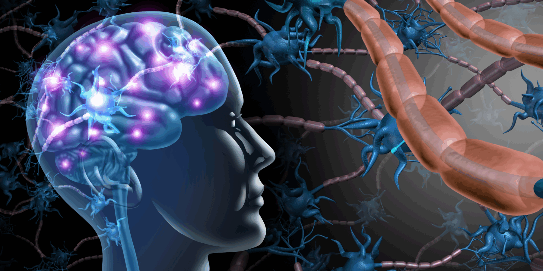 Washington Traumatic Brain Injury Accident