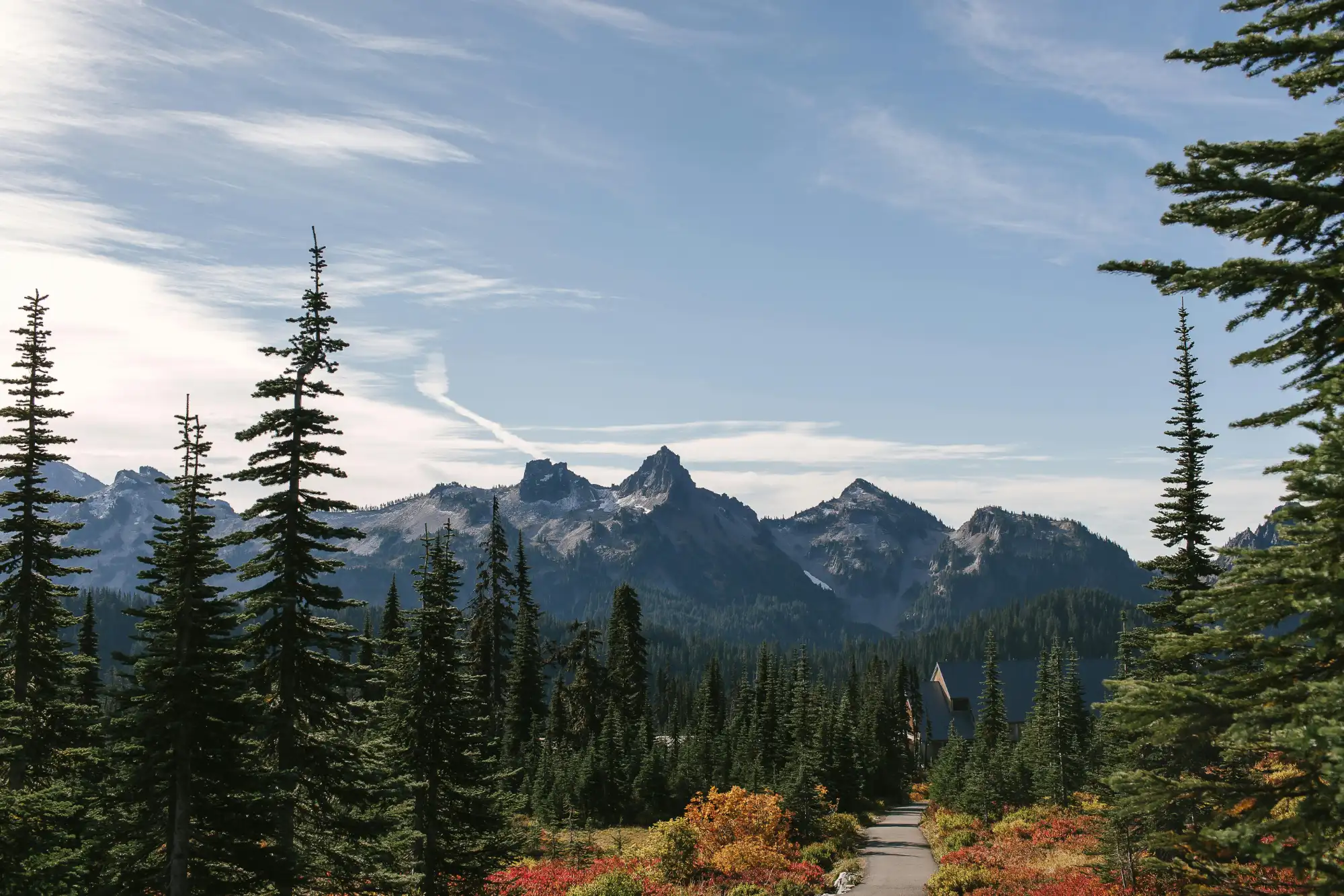 Rainier National Park