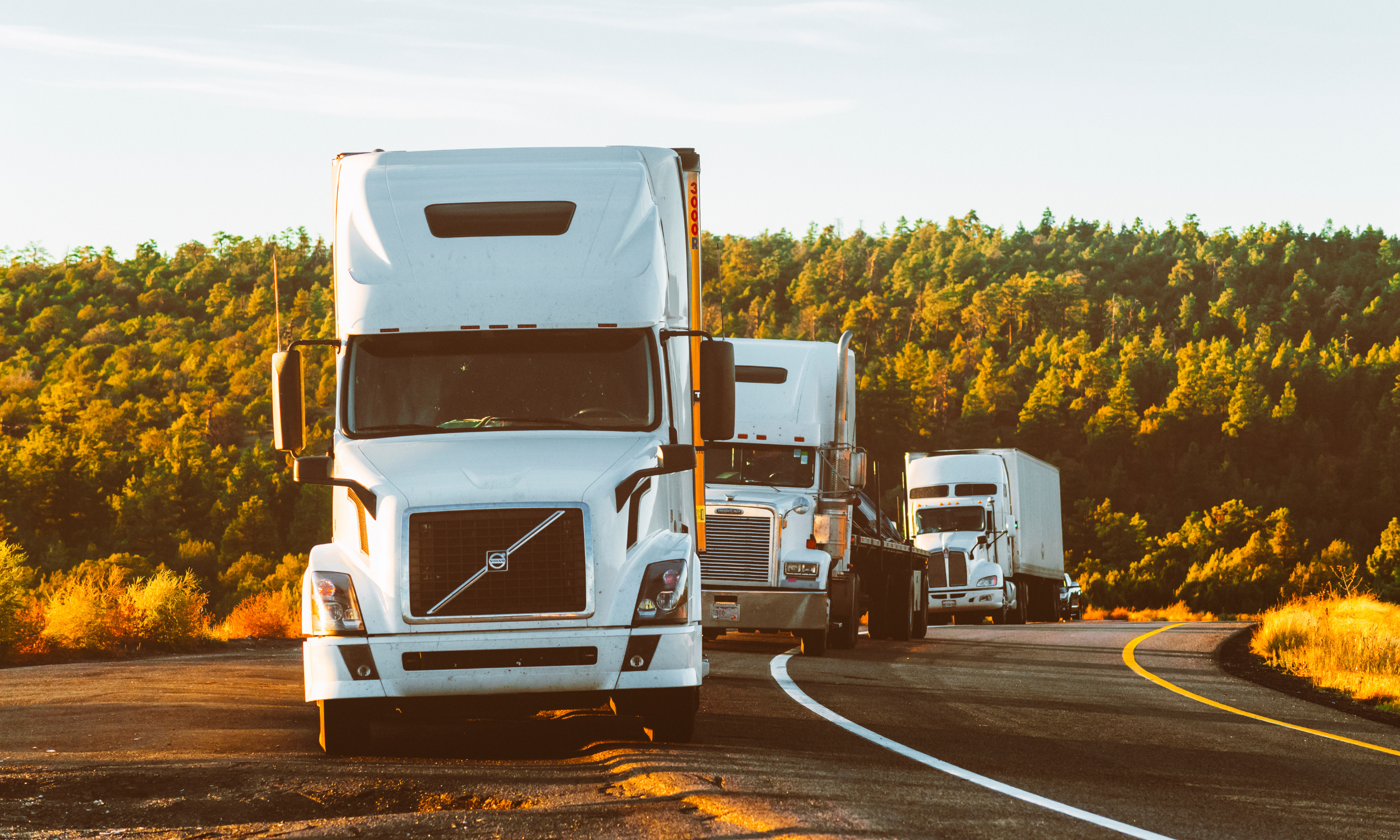 commercial trucking accident in Pullman