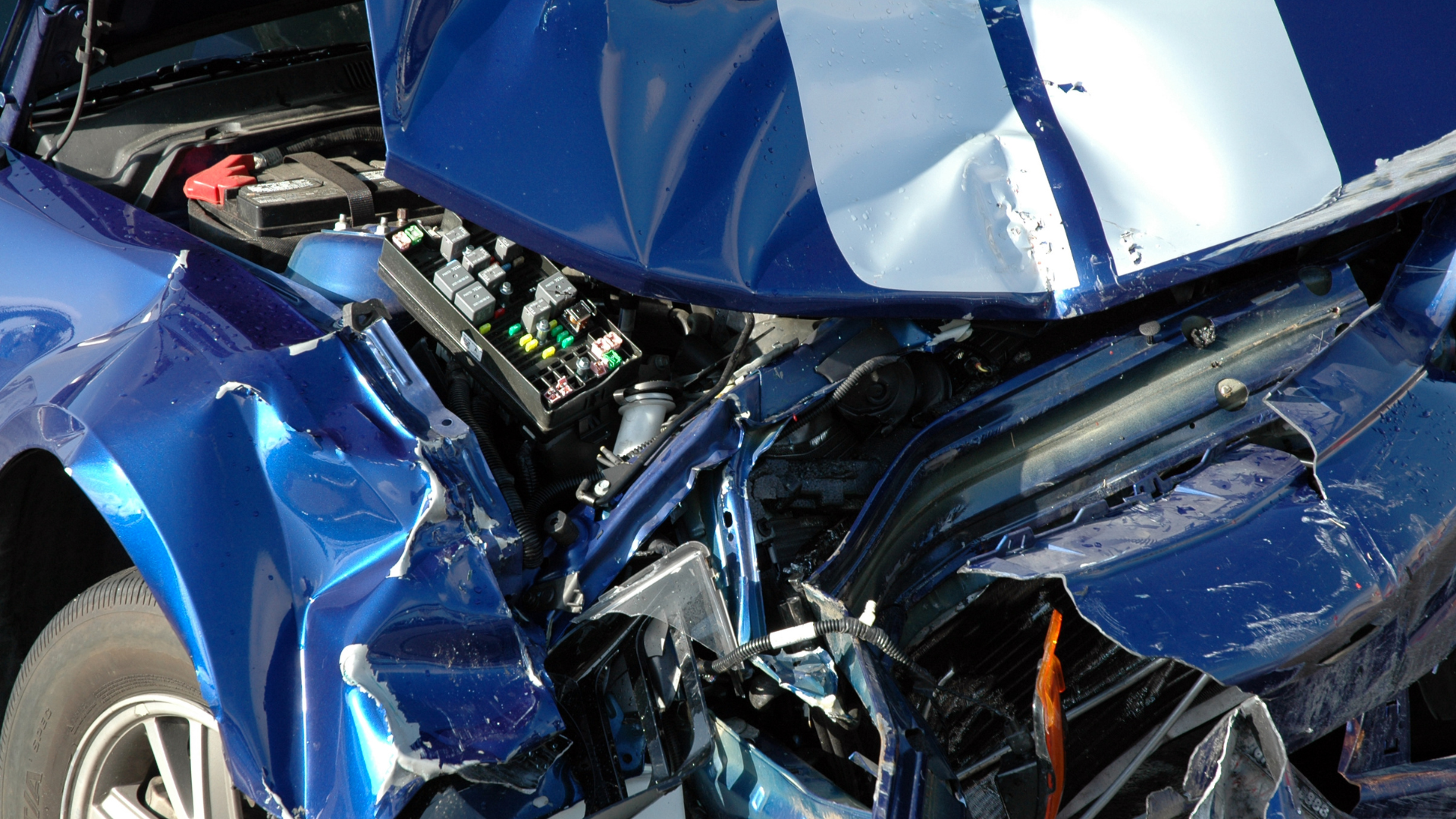 Two Fatally Injured in Head-On Collision at Steven’s Pass Near Seattle