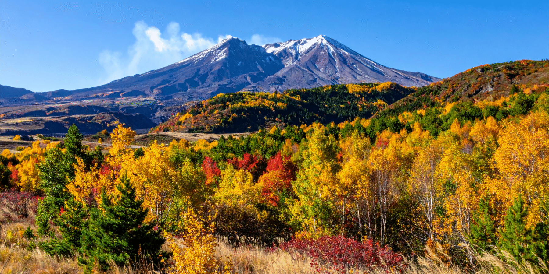 Semi-Truck Accident Outside Pullman Kills WSU Student, Injures Another