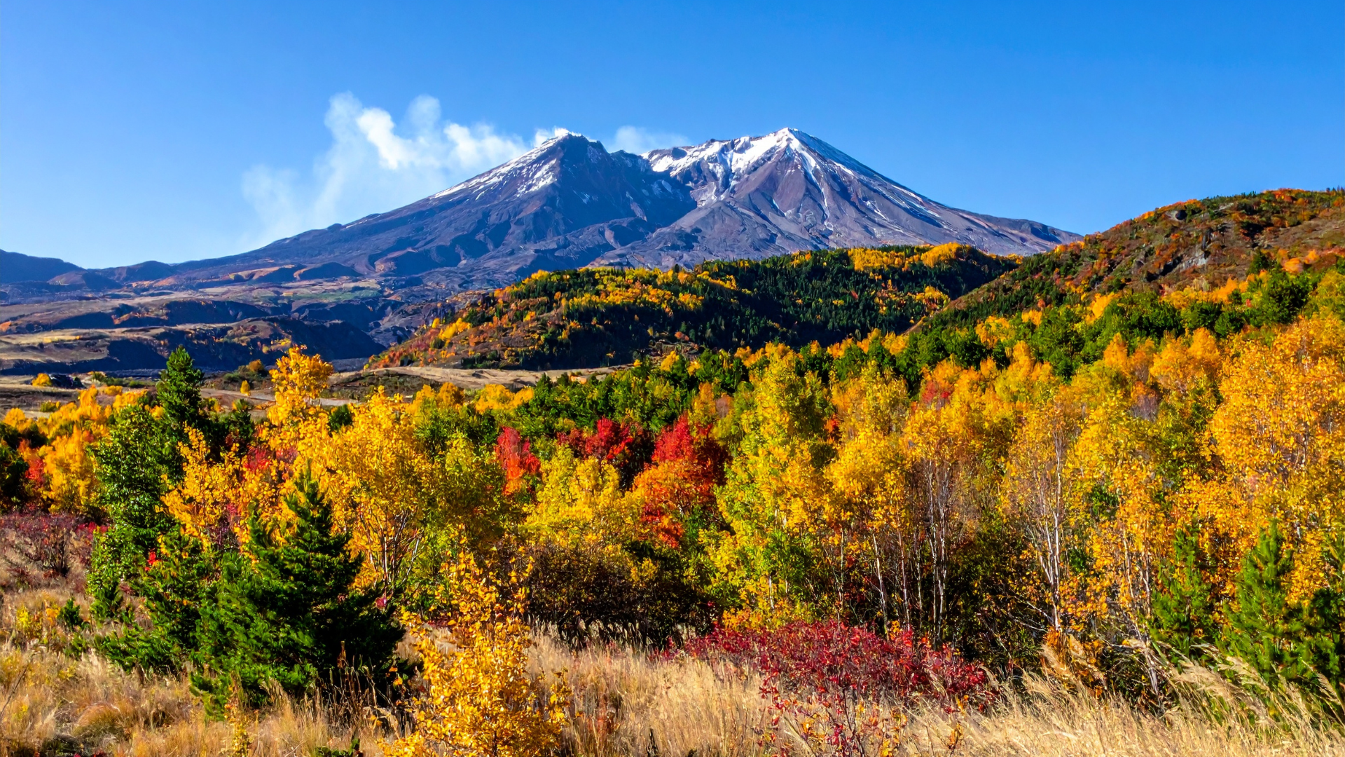 Semi-Truck Accident Outside Pullman Kills WSU Student, Injures Another 