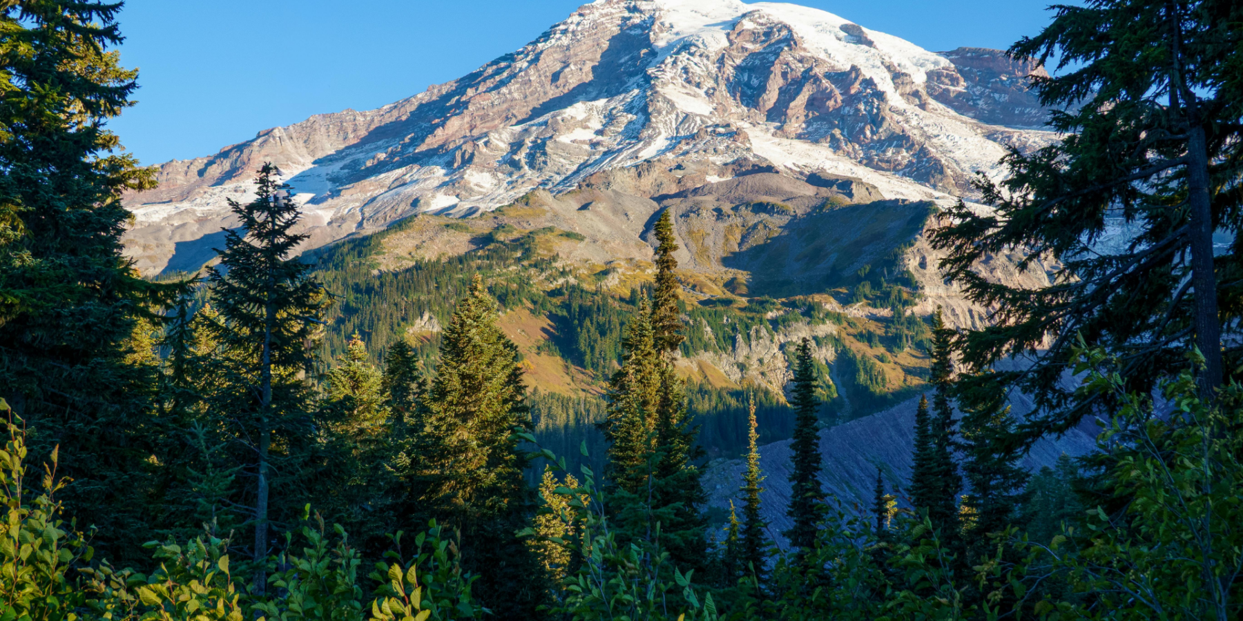 Tukwila Car Crash Shuts Down Northbound I-5
