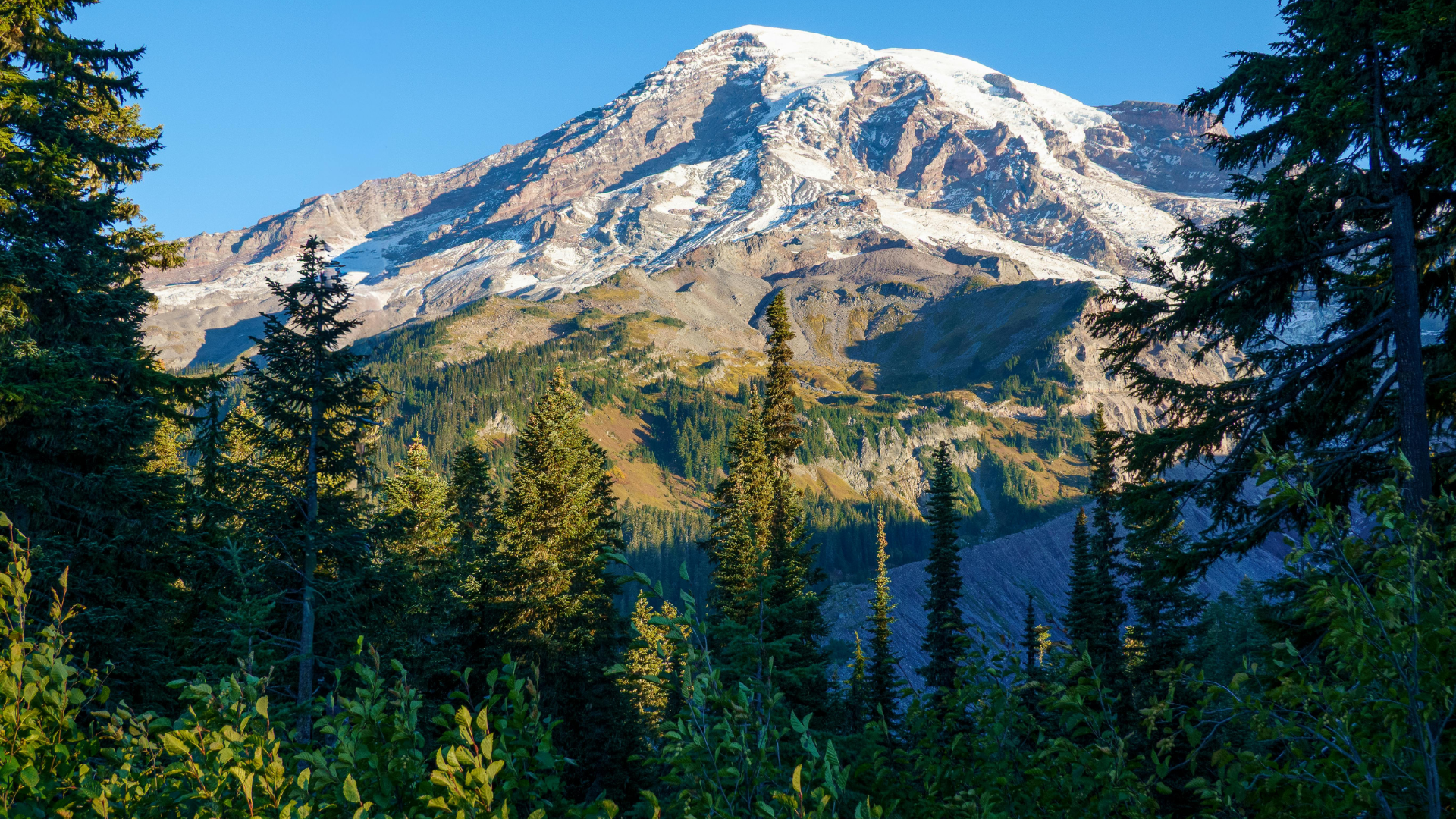 Tukwila Car Crash Shuts Down Northbound I-5